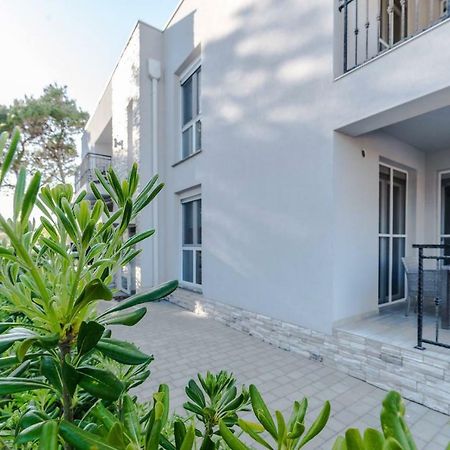 Apartmani Villa Adriatic Vir Εξωτερικό φωτογραφία